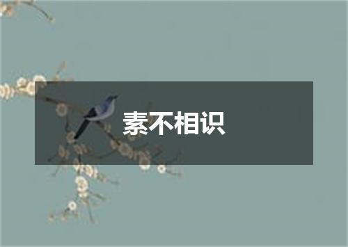 素不相识