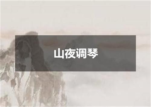 山夜调琴