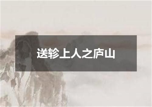 送轸上人之庐山
