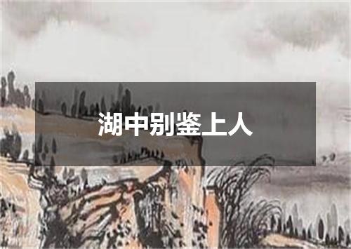 湖中别鉴上人