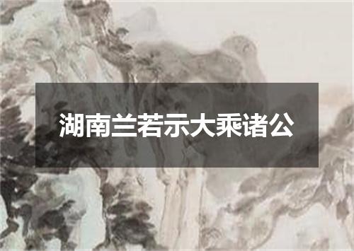 湖南兰若示大乘诸公