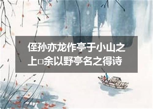 侄孙亦龙作亭于小山之上□余以野亭名之得诗