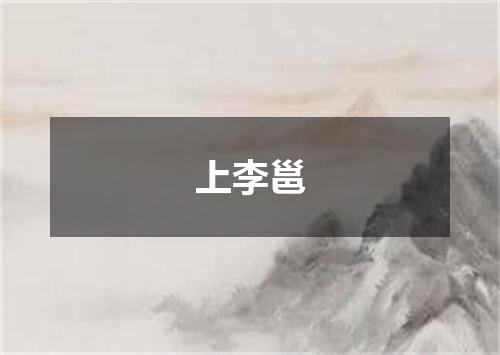 上李邕