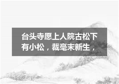 台头寺愿上人院古松下有小松，裁毫末新生，