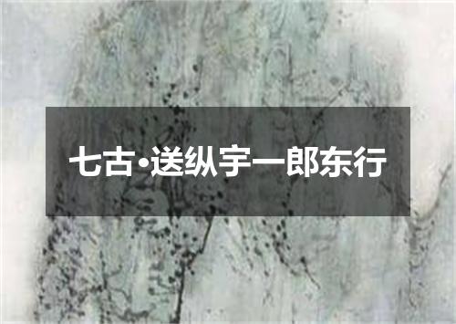 七古·送纵宇一郎东行