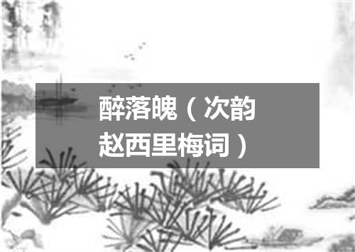 醉落魄（次韵赵西里梅词）