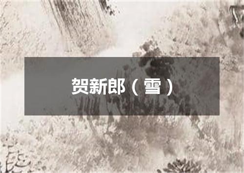 贺新郎（雪）