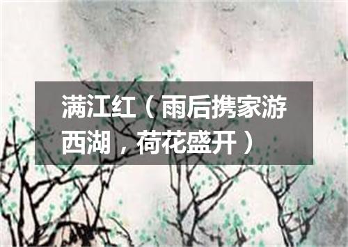 满江红（雨后携家游西湖，荷花盛开）