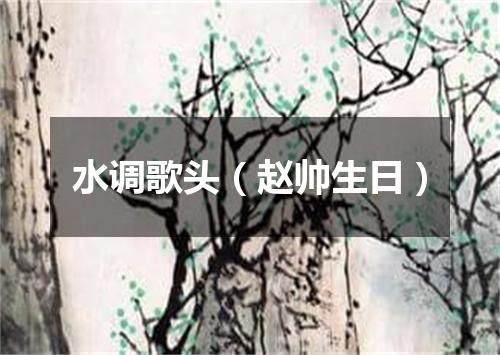 水调歌头（赵帅生日）