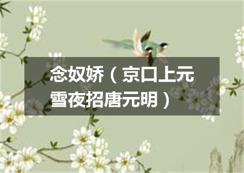 念奴娇(京口上元雪夜招唐元明)
