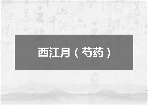 西江月（芍药）
