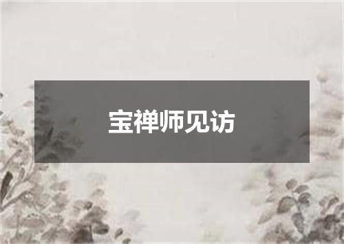 宝禅师见访