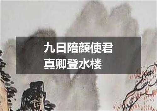 九日陪颜使君真卿登水楼