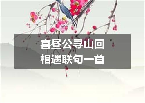 喜昼公寻山回相遇联句一首