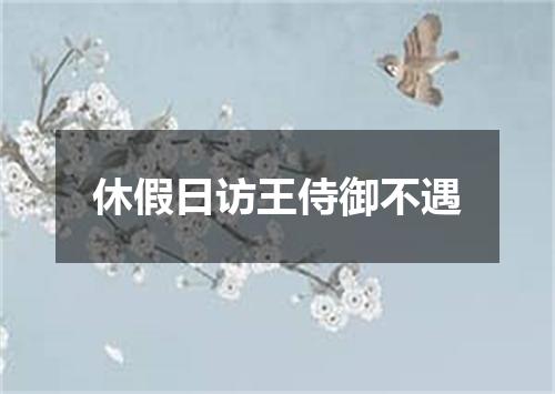 休假日访王侍御不遇