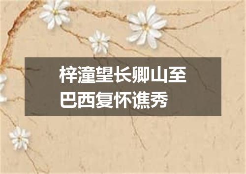 梓潼望长卿山至巴西复怀谯秀