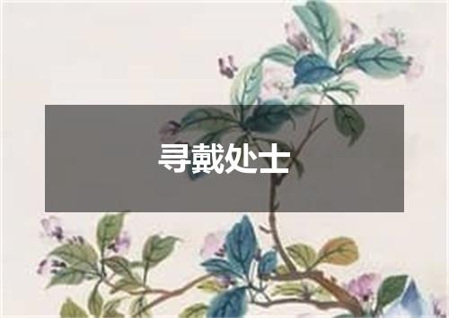 寻戴处士