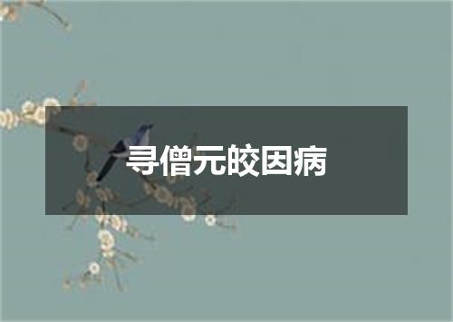 寻僧元皎因病
