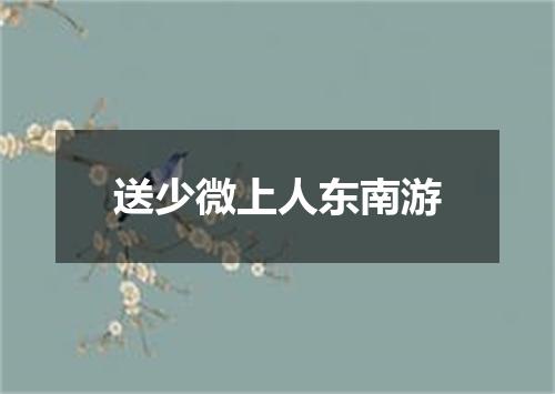 送少微上人东南游