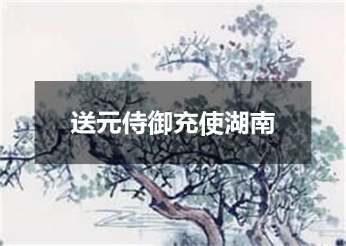 送元侍御充使湖南