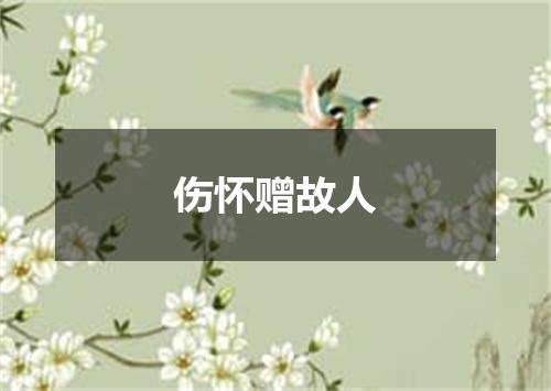 伤怀赠故人