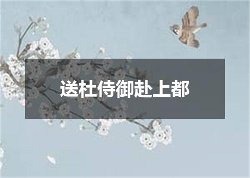 送杜侍御赴上都