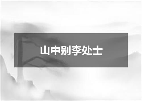 山中别李处士