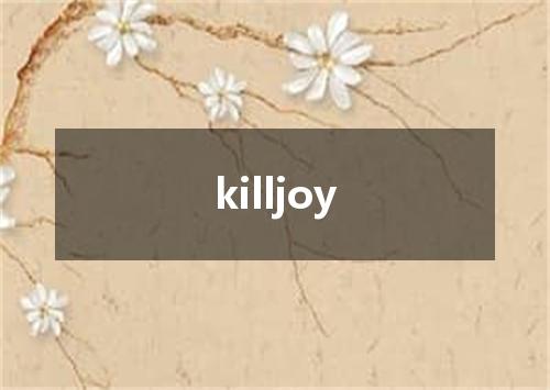 killjoy是什么意思