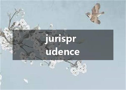 jurisprudence是什么意思