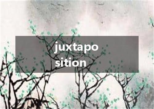 juxtaposition是什么意思