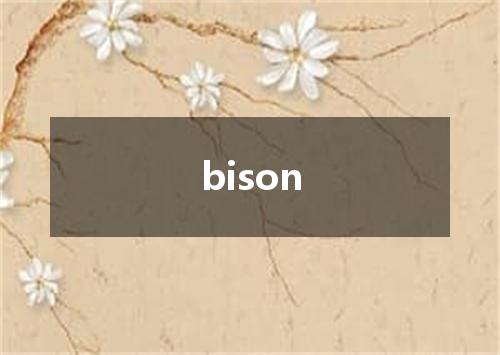 bison是什么意思