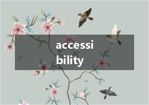 accessibility是什么意思