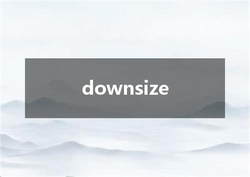 downsize是什么意思