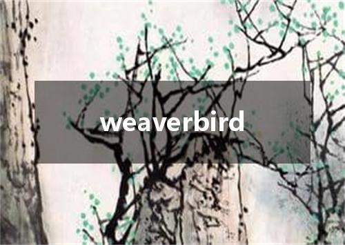 weaverbird是什么意思