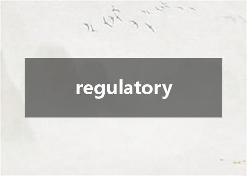 regulatory是什么意思