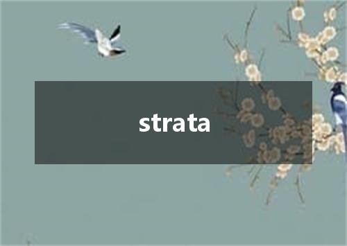 strata是什么意思