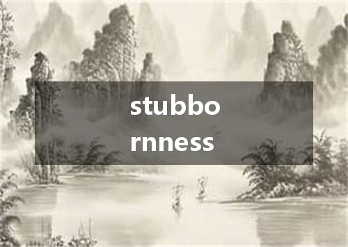 stubbornness是什么意思