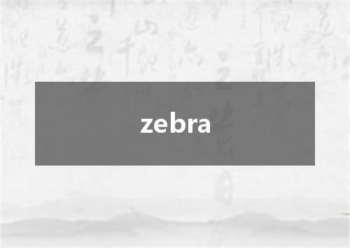 zebra是什么意思
