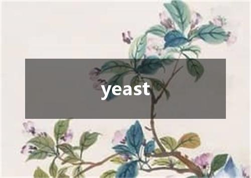 yeast是什么意思