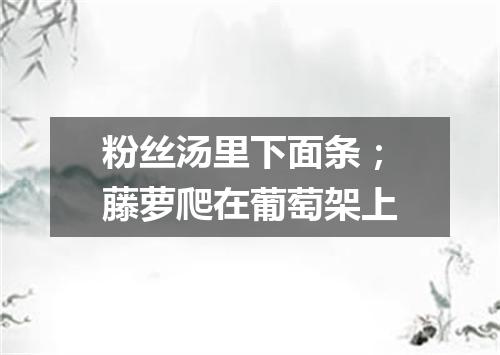 粉丝汤里下面条；藤萝爬在葡萄架上