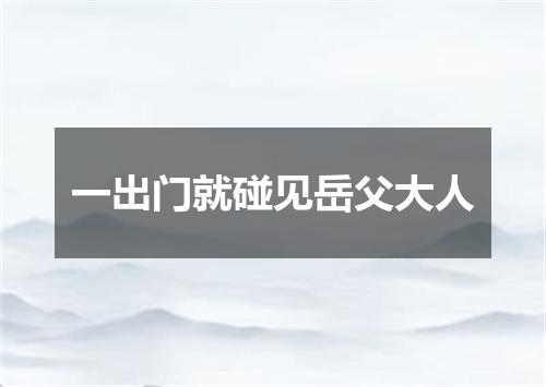 一出门就碰见岳父大人