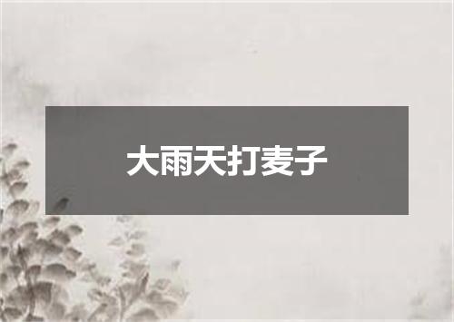 大雨天打麦子