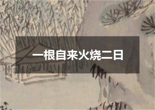 一根自来火烧二日