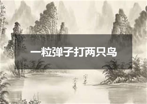 一粒弹子打两只鸟