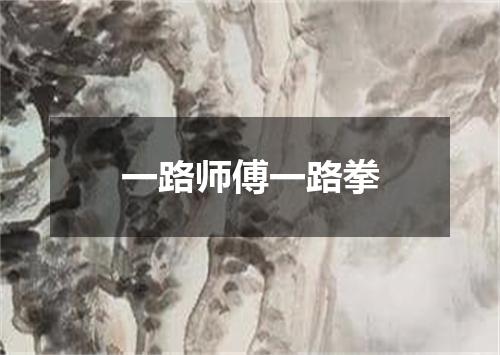 一路师傅一路拳
