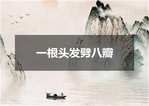 一根头发劈八瓣