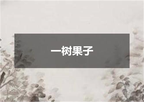 一树果子