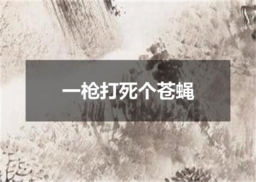 一枪打死个苍蝇