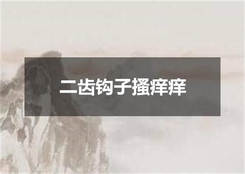二齿钩子搔痒痒