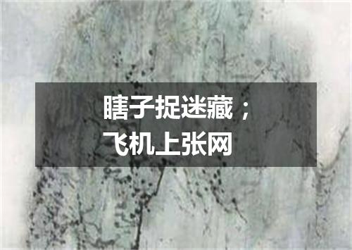 瞎子捉迷藏；飞机上张网